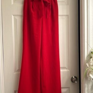 Express Vibrant Red Wide Leg Pants